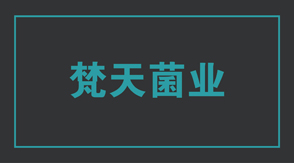 食品行业鹤壁冲锋衣设计款式